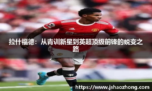星空体育网站入口
