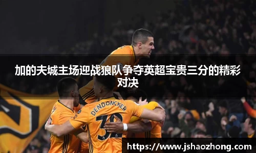加的夫城主场迎战狼队争夺英超宝贵三分的精彩对决