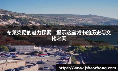 布莱克尼的魅力探索：揭示这座城市的历史与文化之美
