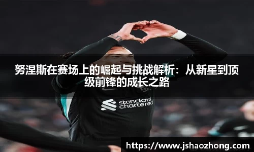 努涅斯在赛场上的崛起与挑战解析：从新星到顶级前锋的成长之路