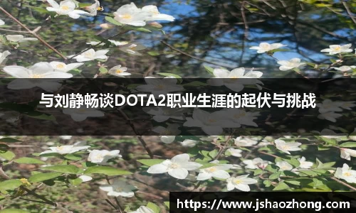 与刘静畅谈DOTA2职业生涯的起伏与挑战